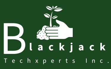 blackjacktechxperts.com